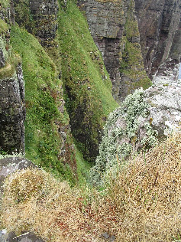 2018.07.10 bei Ron an der Nordwestkueste (2142).JPG